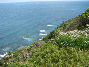 Driving to Apollo Bay