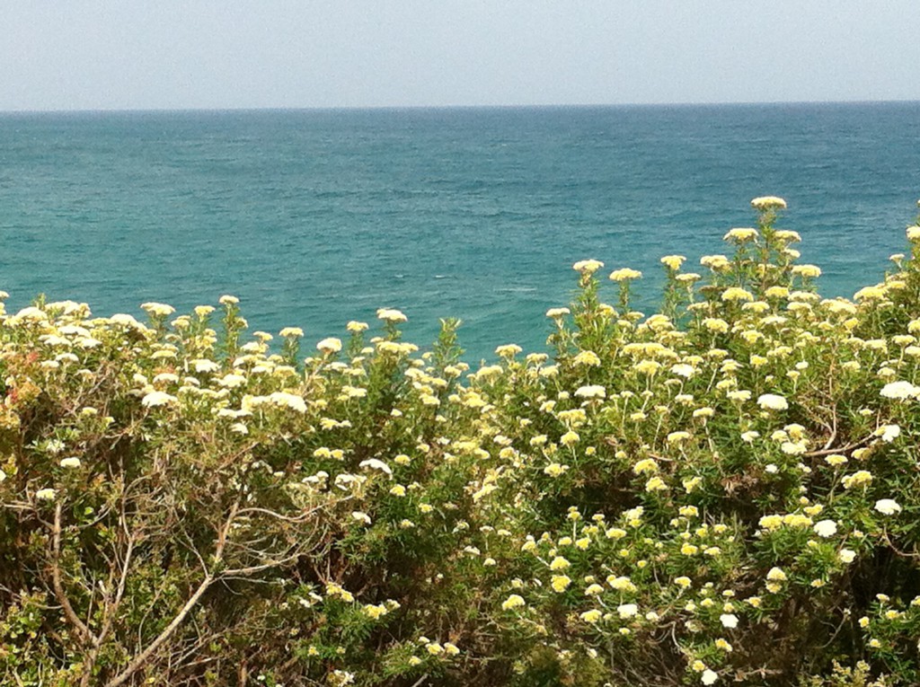 Driving to Apollo Bay