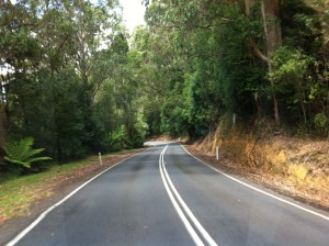 Road to Cape Otway, Great Ocean Road