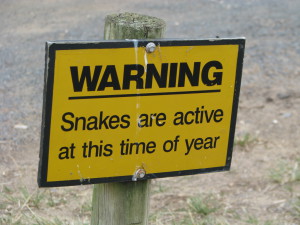 Snake warning, Cape Otway, the Great Ocean Road