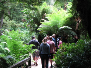 Tourists in Mait's Rest, the Great Ocean Road