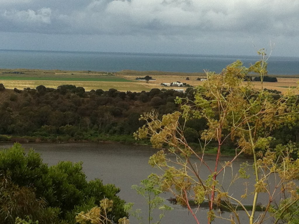Tower Hill Game Reserve, Great Ocean Road self drive 