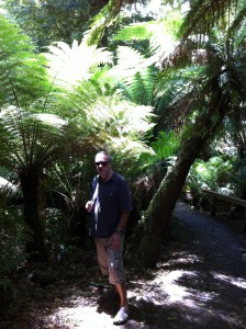 Walking in Mait's Rest, the Great Ocean Road