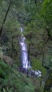 Erskine Falls, the Great Ocean Road