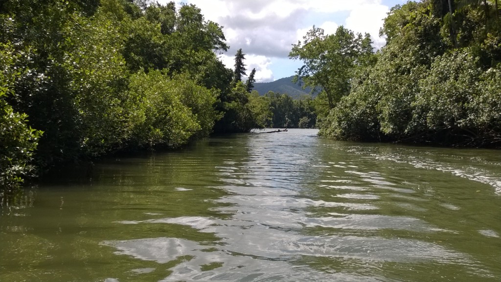 From Cairns to Daintree: Daintree River From Cairns to Daintree: Daintree River