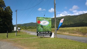 Daintree River croc cruises