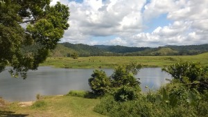 Daintree River in Daintree Village