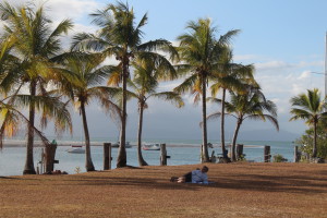 View of Port Douglas Harbour