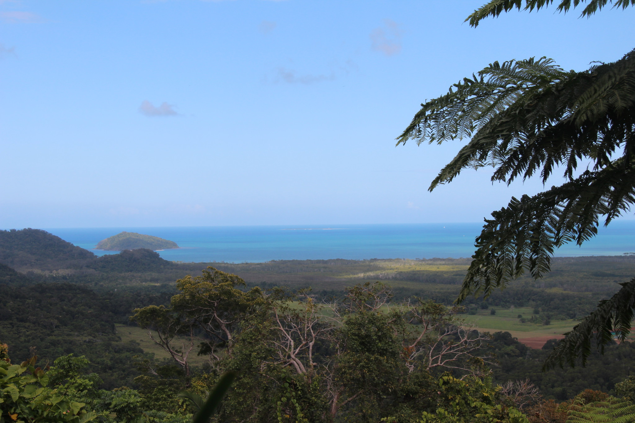 Alexandra Lookout, self drive trip to the Daintree Rainforest Alexandra Lookout, self drive trip to the Daintree Rainforest