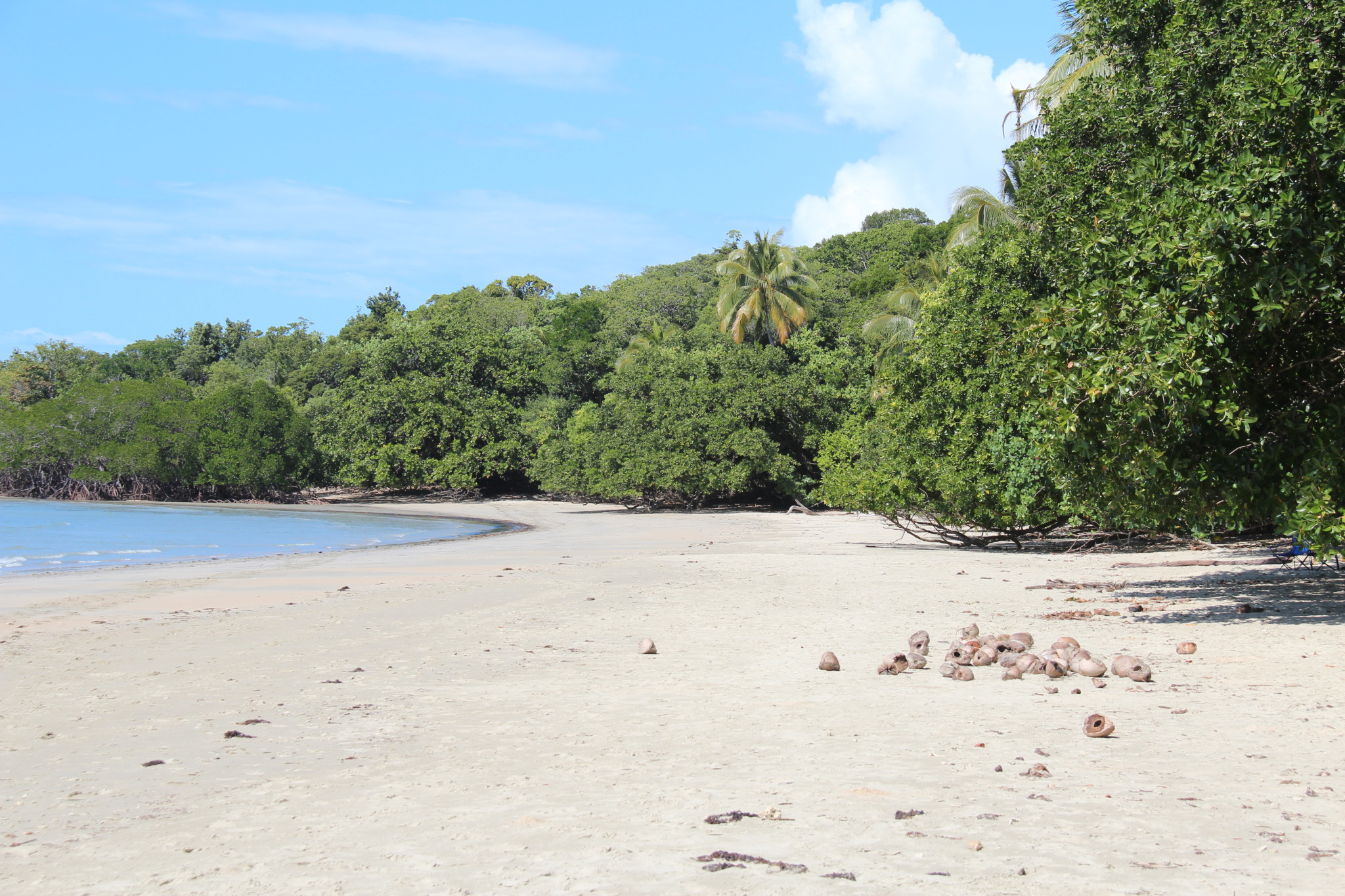Myall Beach, Cape Tribulation Myall Beach, Cape Tribulation