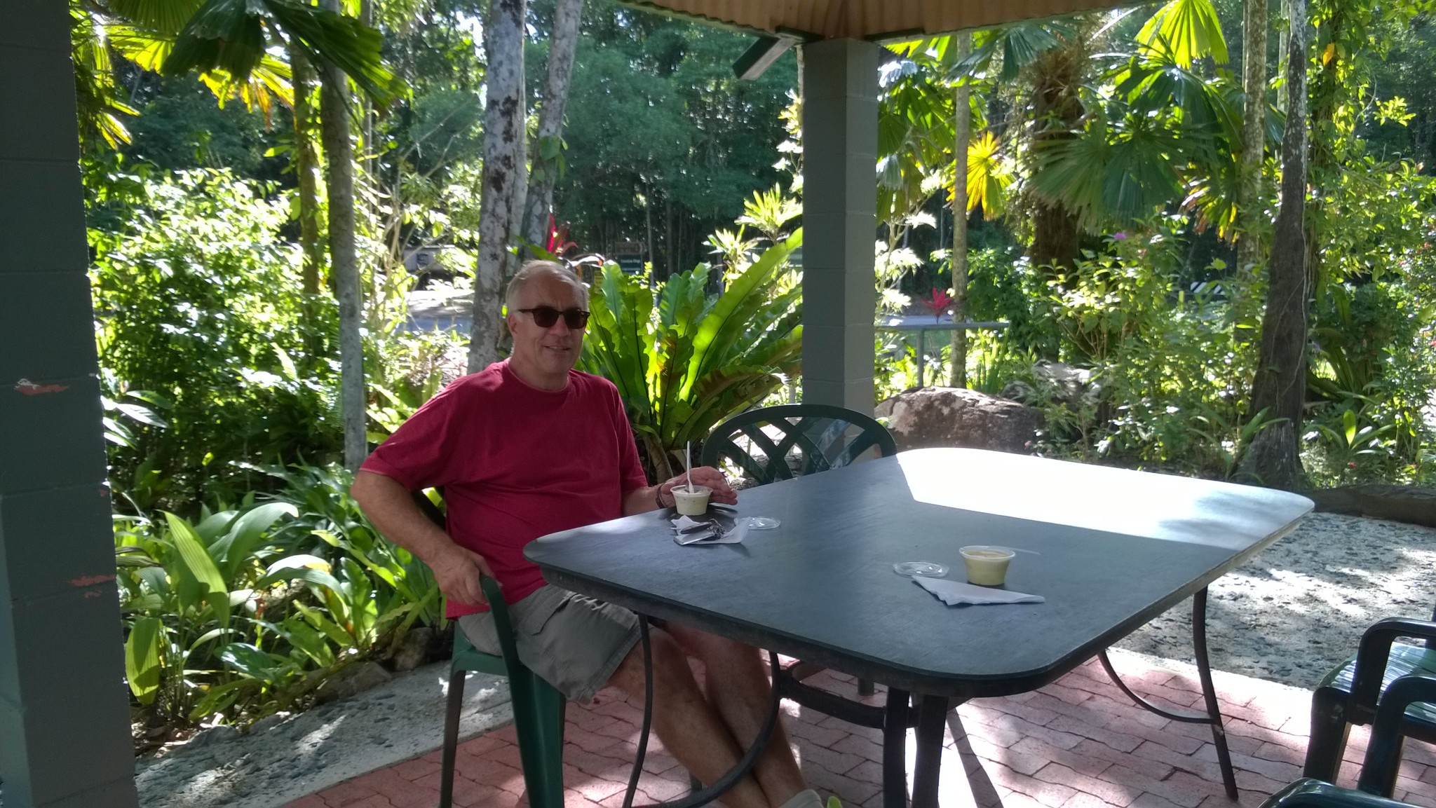Tasting tropical ice cream, self drive trip to the Daintree Rainforest Tasting tropical ice cream, self drive trip to the Daintree Rainforest