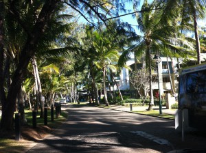 A view of Palm Cove, Cairns to Daintree