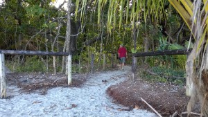 Walking from Thornton Beach, self drive trip to the Daintree Rainforest