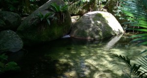 Mossman Gorge