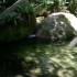 Mossman Gorge