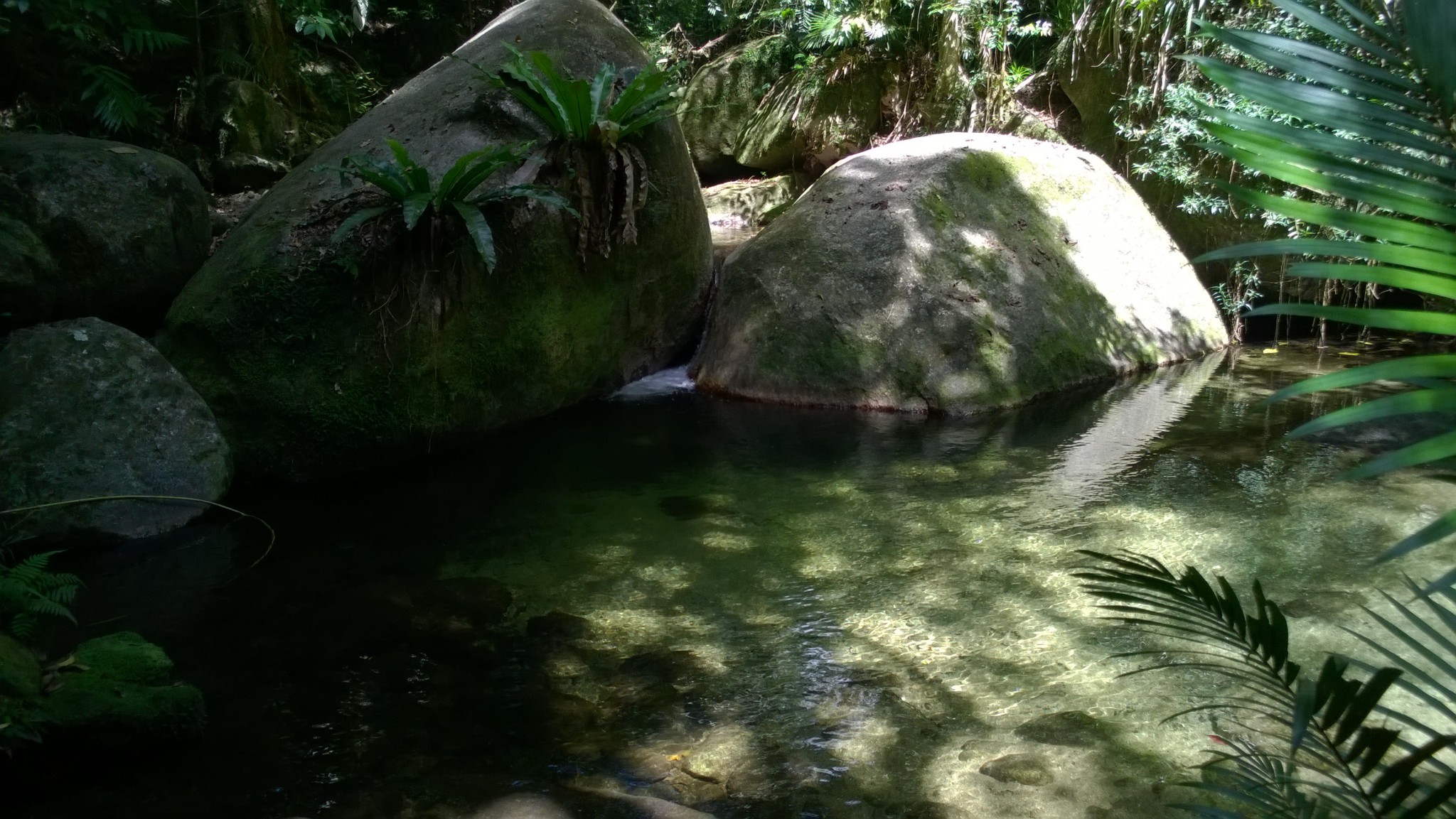 From Cairns to Daintree: Mossman Gorge From Cairns to Daintree: Mossman Gorge