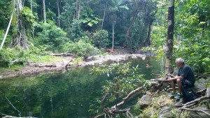 Self drive trip to the Daintree Rainforest, Emmagen Creek swimming hole