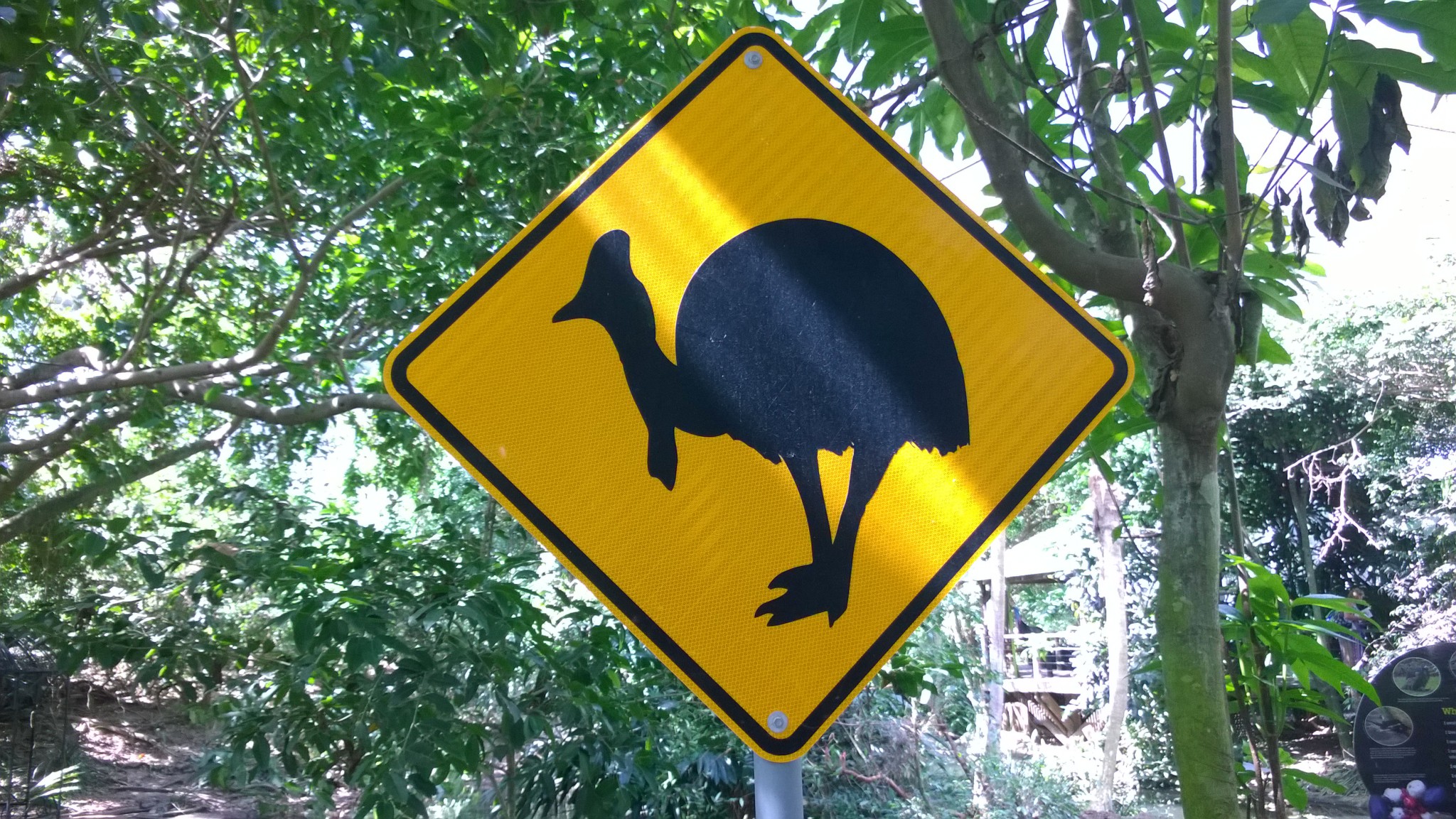 Cassowary sign, Daintree Rainforest Cassowary sign, Daintree Rainforest