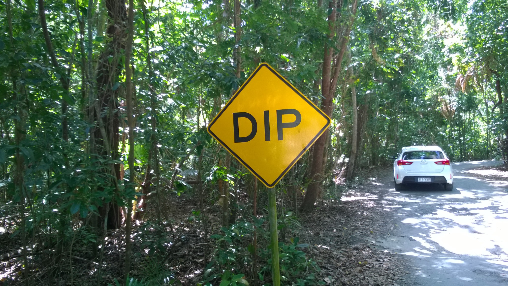 Self drive trip to the Daintree Rainforest: a dip on the road Self drive trip to the Daintree Rainforest: a dip on the road