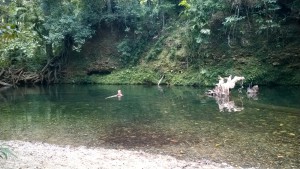 Emmagen Creek, self drive trip to the Daintree Rainforest