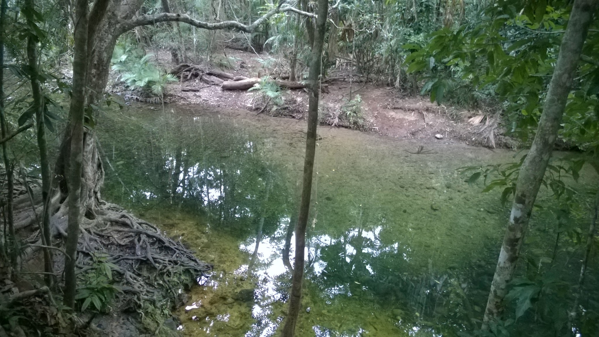 Mason's Store swimming hole Masons swimming hole Cape Tribulation