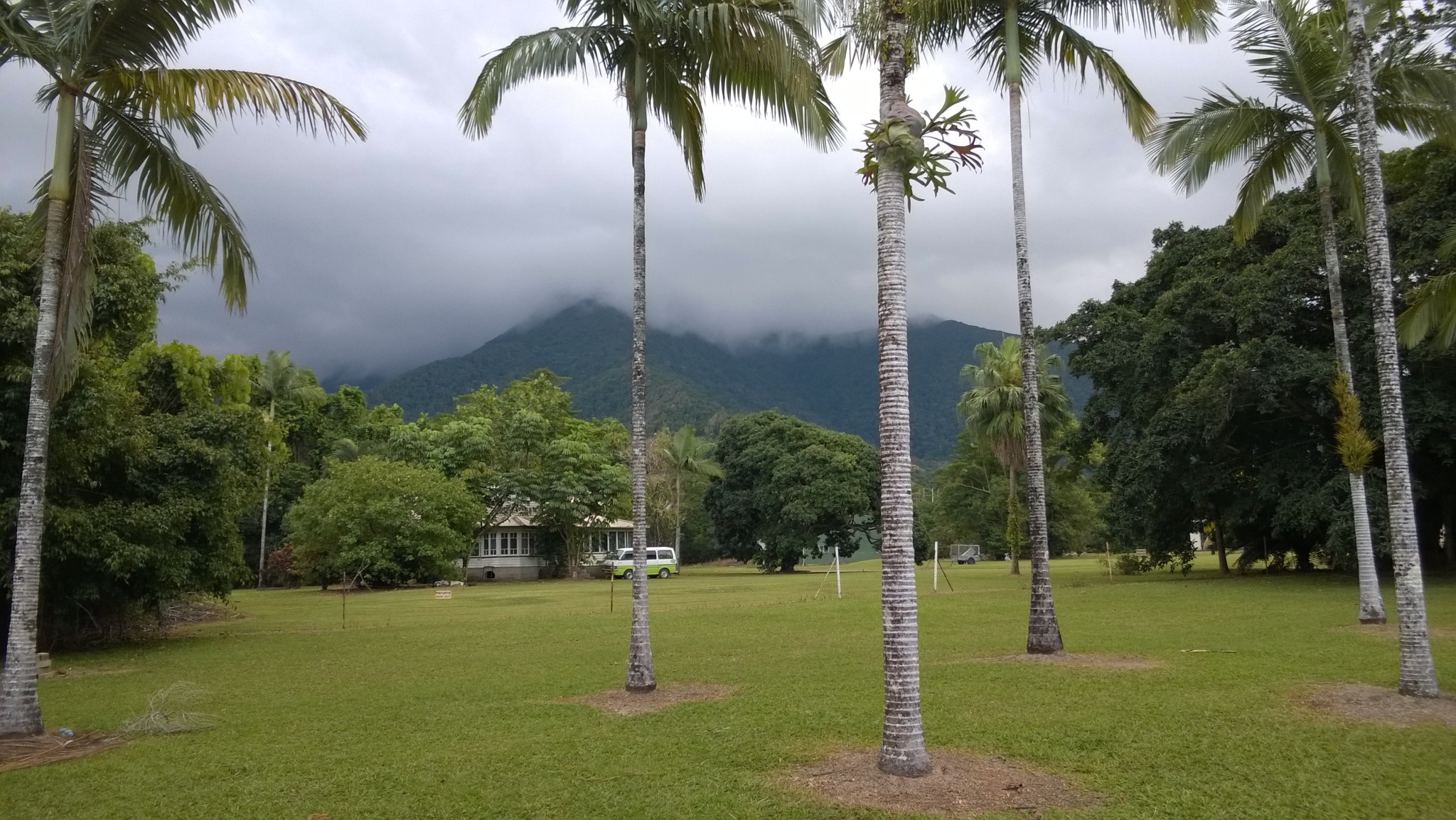 Mason's Store park, Cape Tribulation Mason's Store park, Cape Tribulation