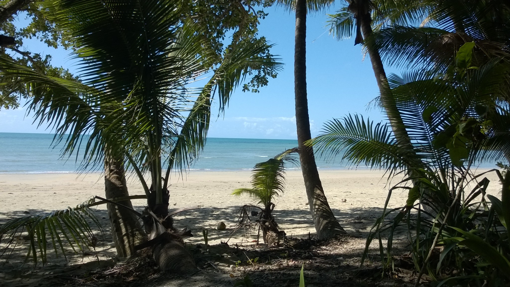 Myall Beach, Cape Tribulation Camping Myall Beach, Cape Tribulation Camping