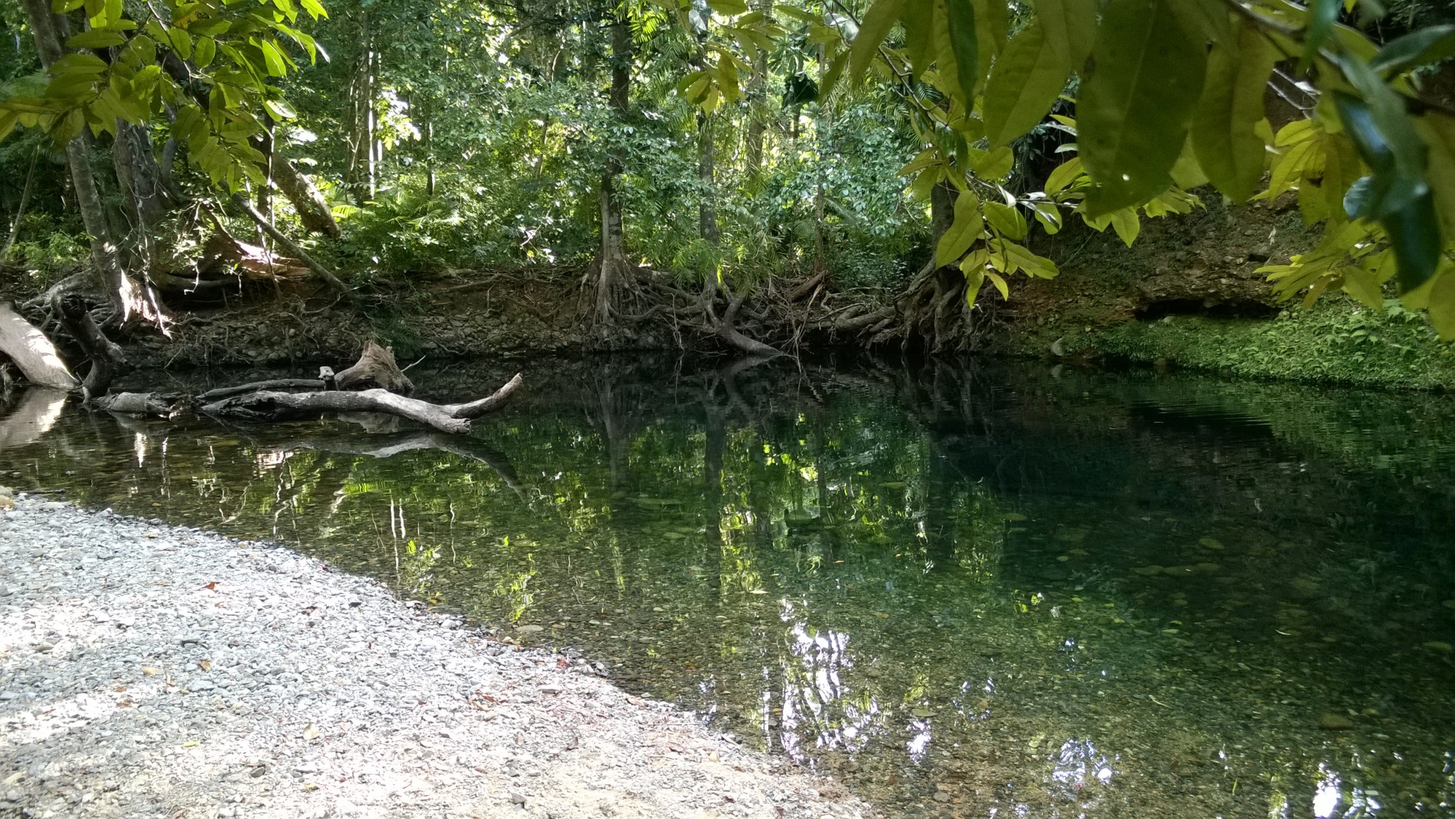 Emmagen swimhole, one of the many in the Daintree Emmagen swimhole, self drive trip to the Daintree Rainforest