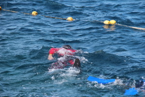Agincourt Reef lifeguard