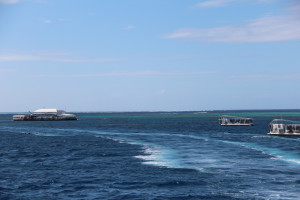 Leaving the pontoon, Agincourt Reef