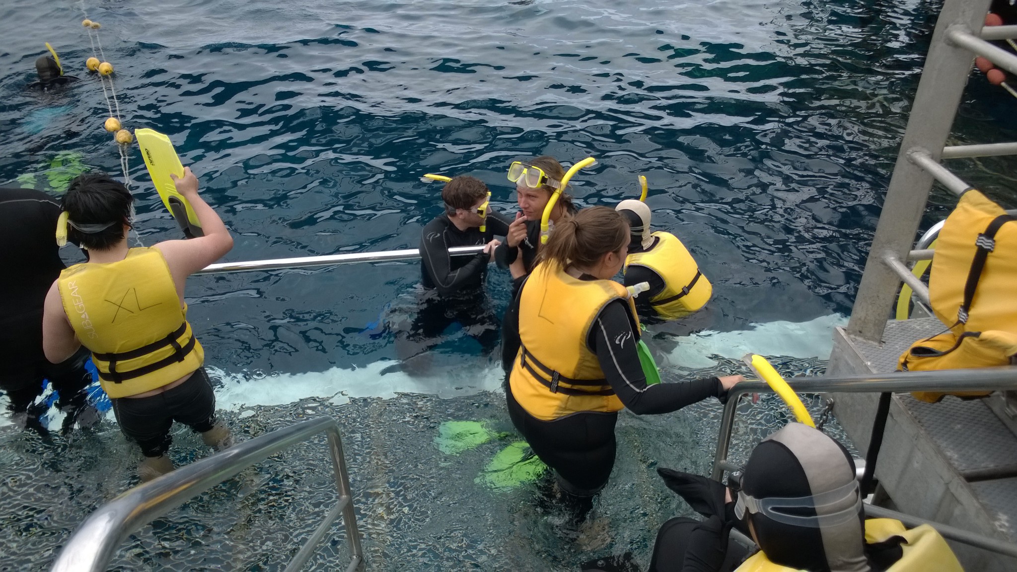 Snorkeling at Agincourt Reef pontoon