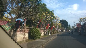 Bali dy trip by car