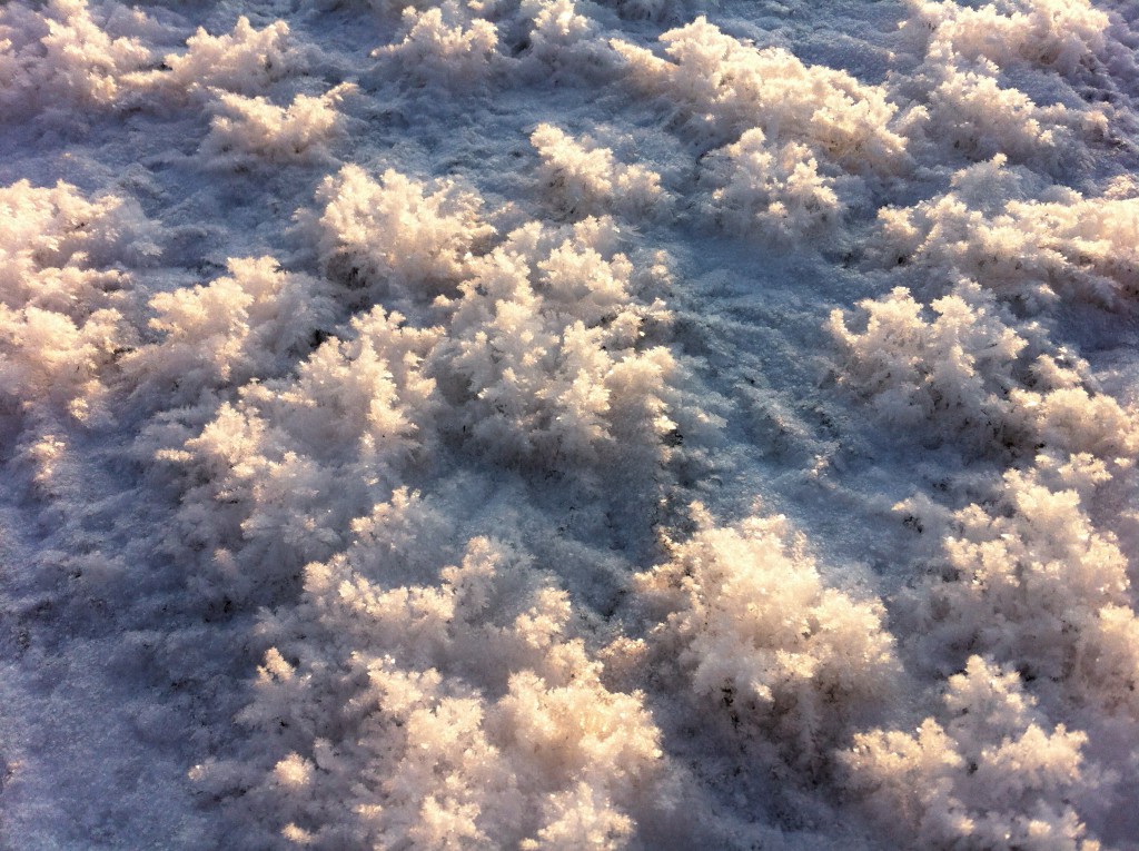 Ice flowers on the lake, Tampere Ice flowers on the lake, Tampere