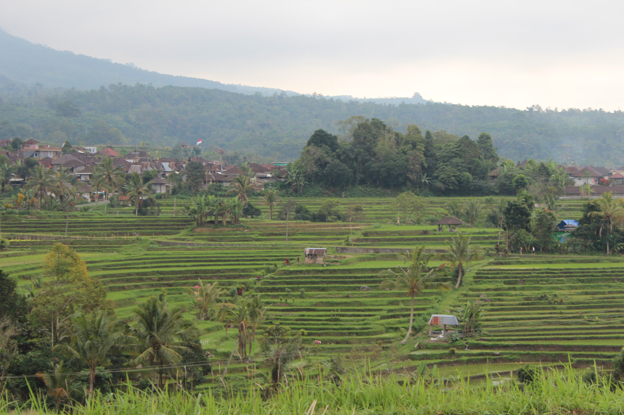 Jatiluwif village and rice terraces Jatiluwif village and rice terraces
