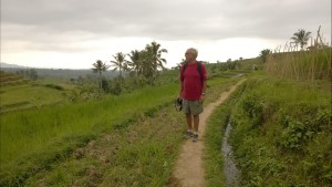 Walking on Bali rice terraces