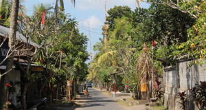 Drive in Central Bali: Bali village road