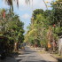Drive in Central Bali: Bali village road