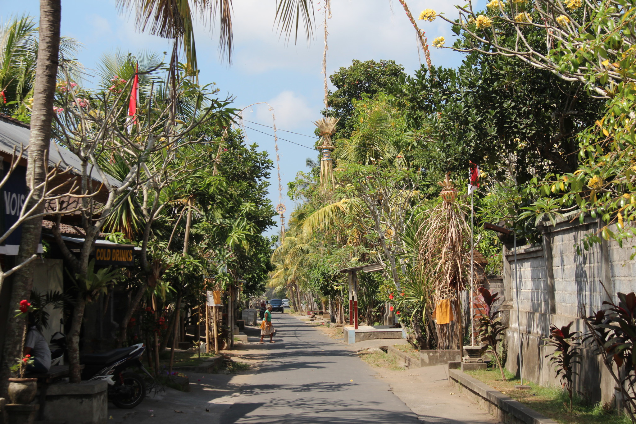 Drive in Central Bali: through jungles and villages Drive in Central Bali: through jungles and villages