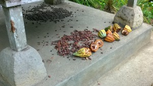Bali plantation products, Central Bali day trip