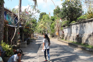 Balinese village road