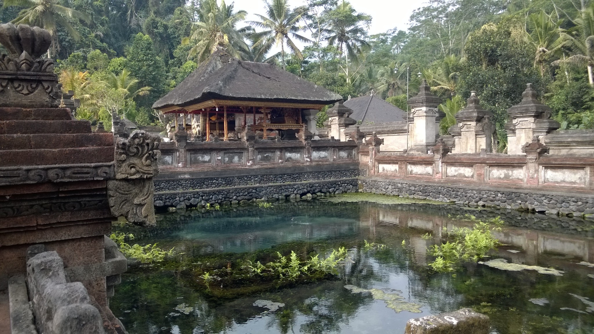 Pura Tirta Empul pond Pura Tirta Empul pond