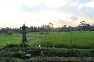 Rice god temple
