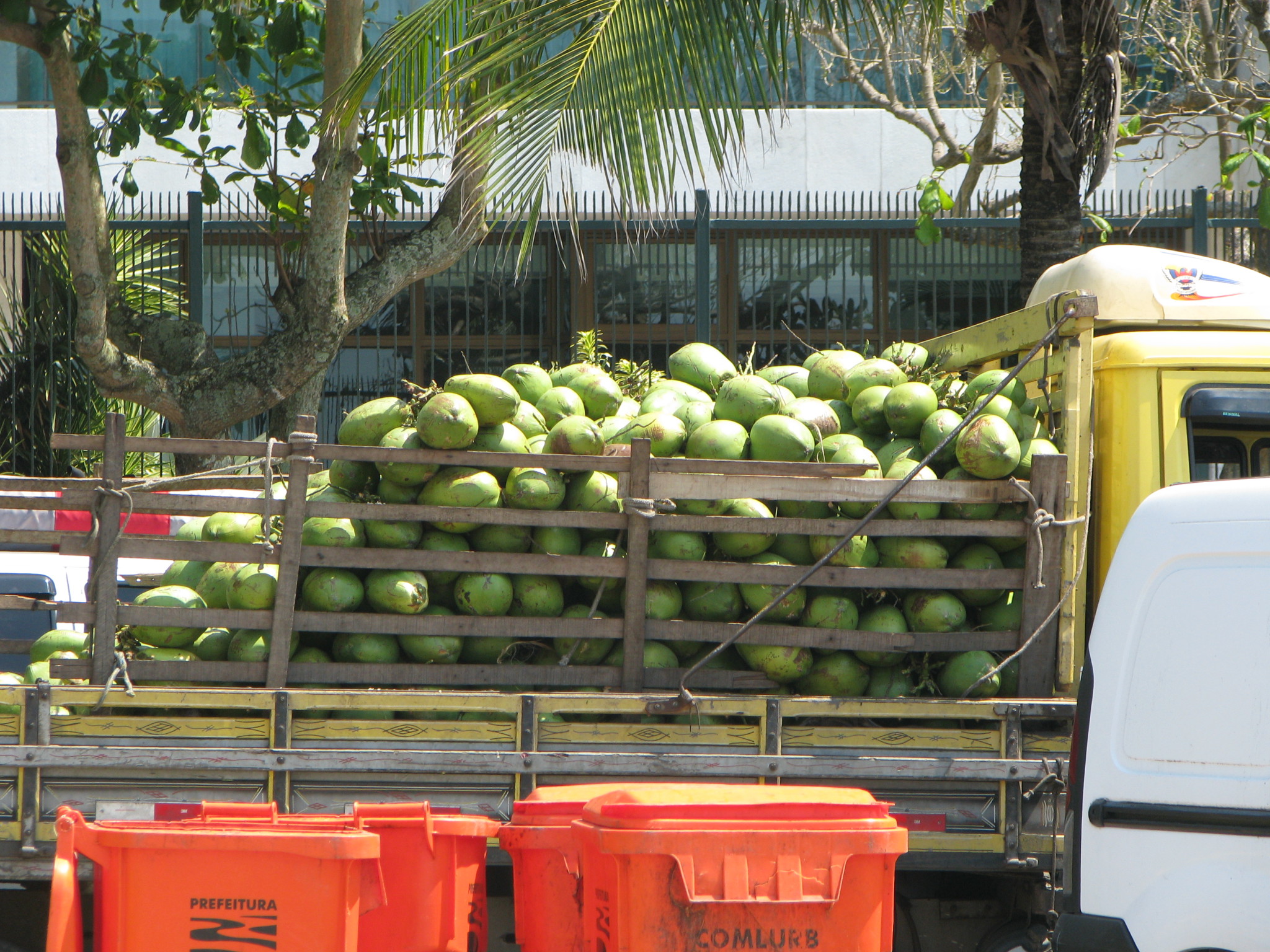 Rio de Janeiro coconut transport Rio de Janeiro coconut transport