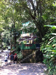 Visiting Parque National da Tijuca
