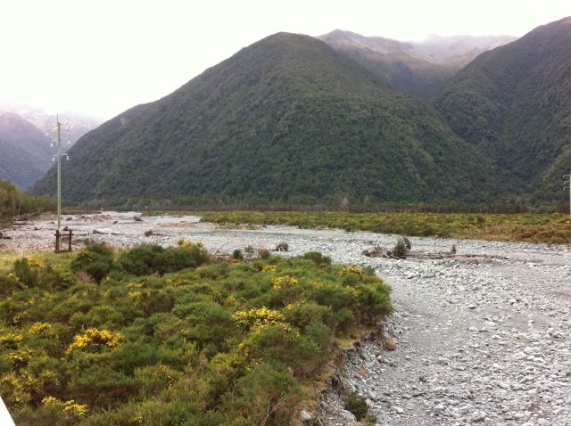Christchurch to Greymouth river and flowers