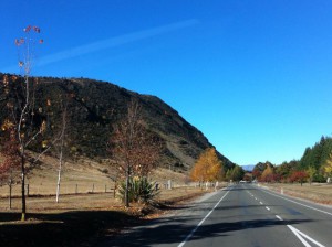 Eely Point Wanaka