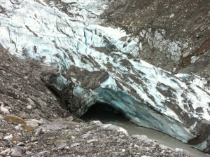 Fox Glacier