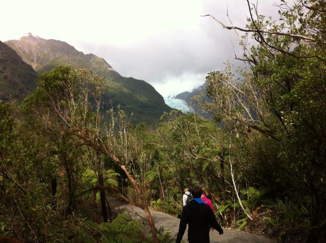 Walking to Franz Josef Glacier Walking to Franz Josef Glacier