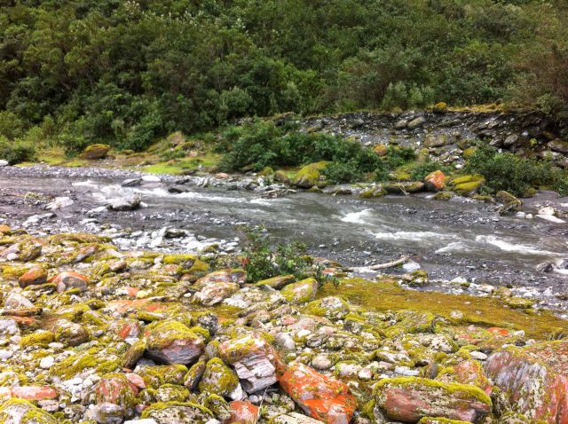 Franz Josef Glacier walking track river Franz Josef Glacier walking track view