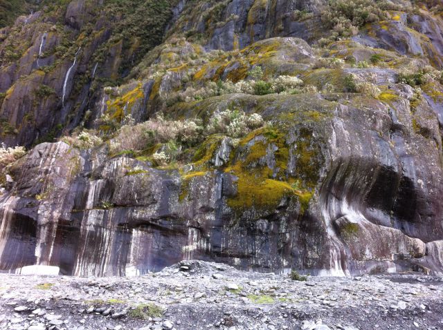 Franz Josef Glacier rocks Franz Josef Glacier rocks